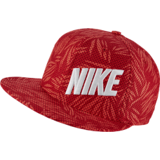 Бейсболка мужская Nike 739415-657  Tropical Storm True